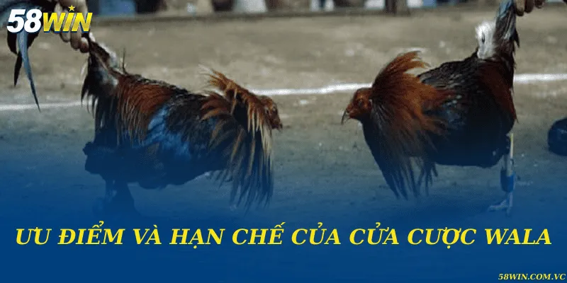 Cửa Cược Wala – Giải Mã Tỷ Lệ Và Cách Vận Hành Chuẩn Xác Ưu điểm và hạn chế của cửa cược Wala