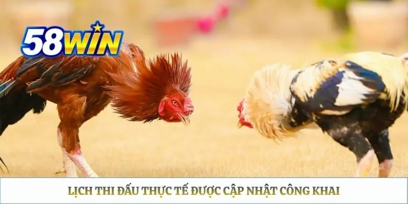 Lịch thi đấu thực tế được cập nhật công khai 