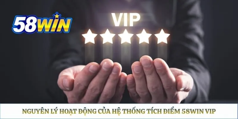 58win VIP – Giải Thích Điều Kiện Và Quyền Lợi Thực Tế Nguyên lý hoạt động của hệ thống tích điểm 58WIN VIP
