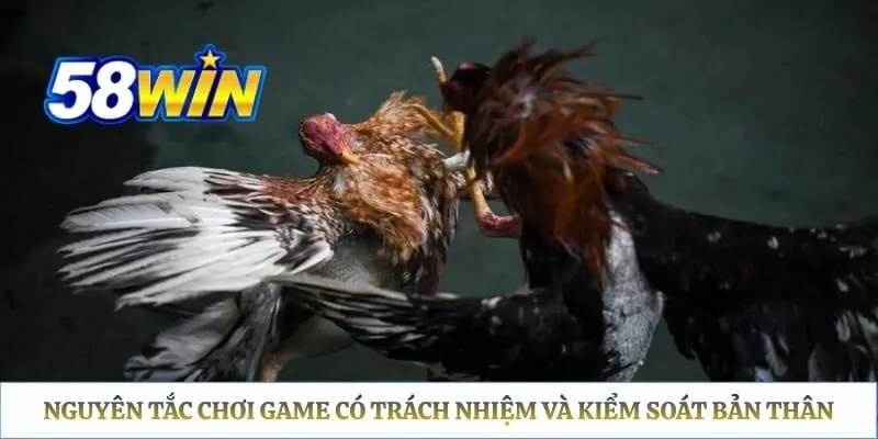 Nguyên tắc chơi game có trách nhiệm và kiểm soát bản thân