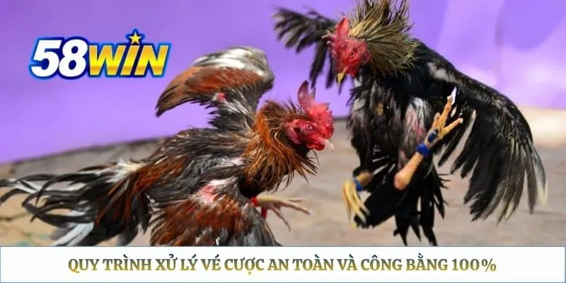 Đá Gà Thomo 58WIN: Lịch Xem Trực Tiếp & Hướng Dẫn Đặt Cược Quy trình xử lý vé cược an toàn và công bằng 100%