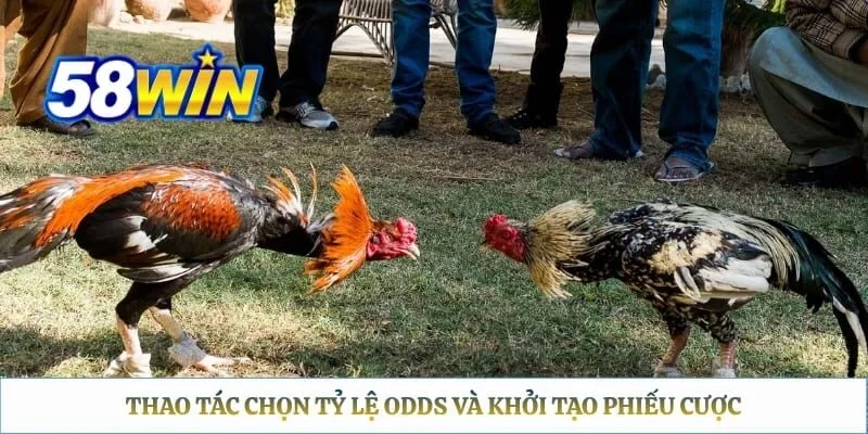 Thao tác chọn tỷ lệ Odds và khởi tạo phiếu cược 